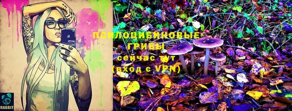 стафф Аркадак