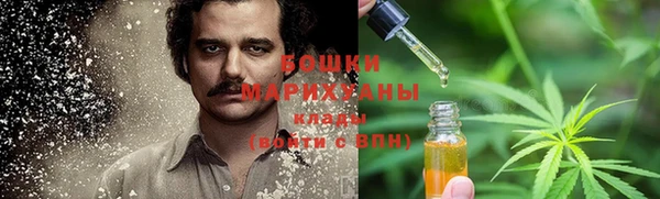 сатива Снежногорск